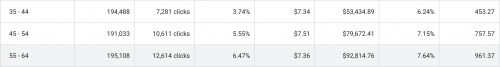 Google and Bing ads Demographics Google and Bing ads Demographics